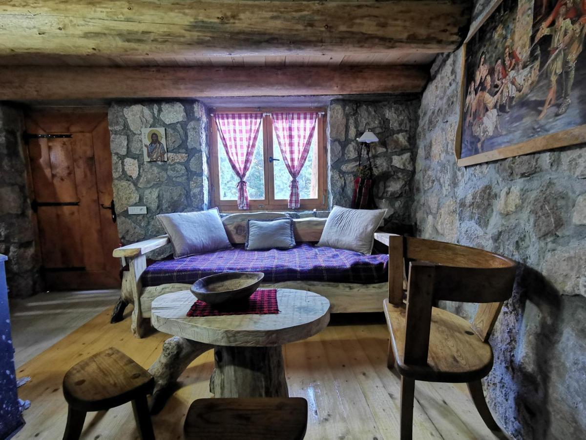 Guesthouse Planinarski Dom Neviden'O Zabljak  Exterior photo
