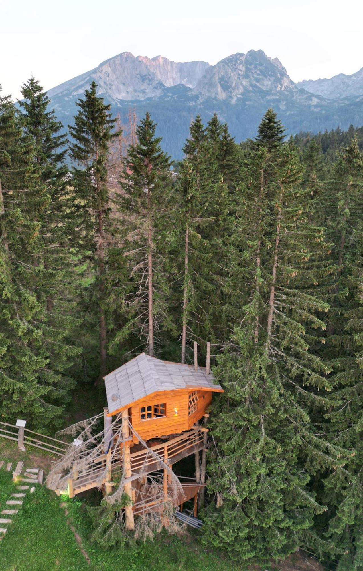 Guesthouse Planinarski Dom Neviden'O Zabljak  Exterior photo