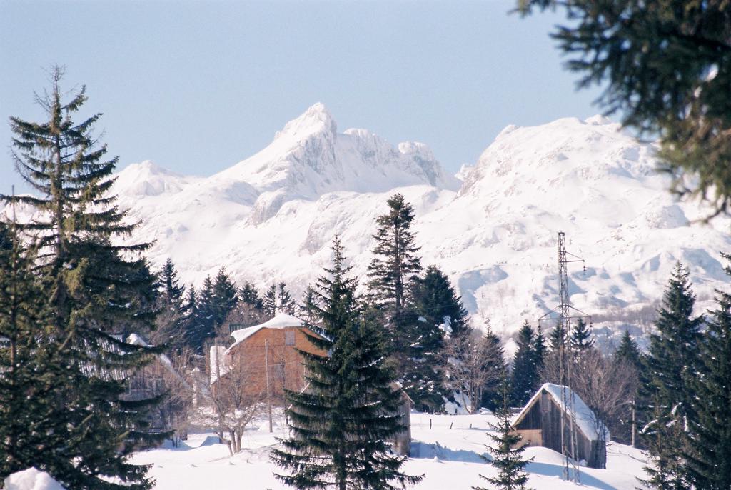 Guesthouse Planinarski Dom Neviden'O Zabljak  Exterior photo