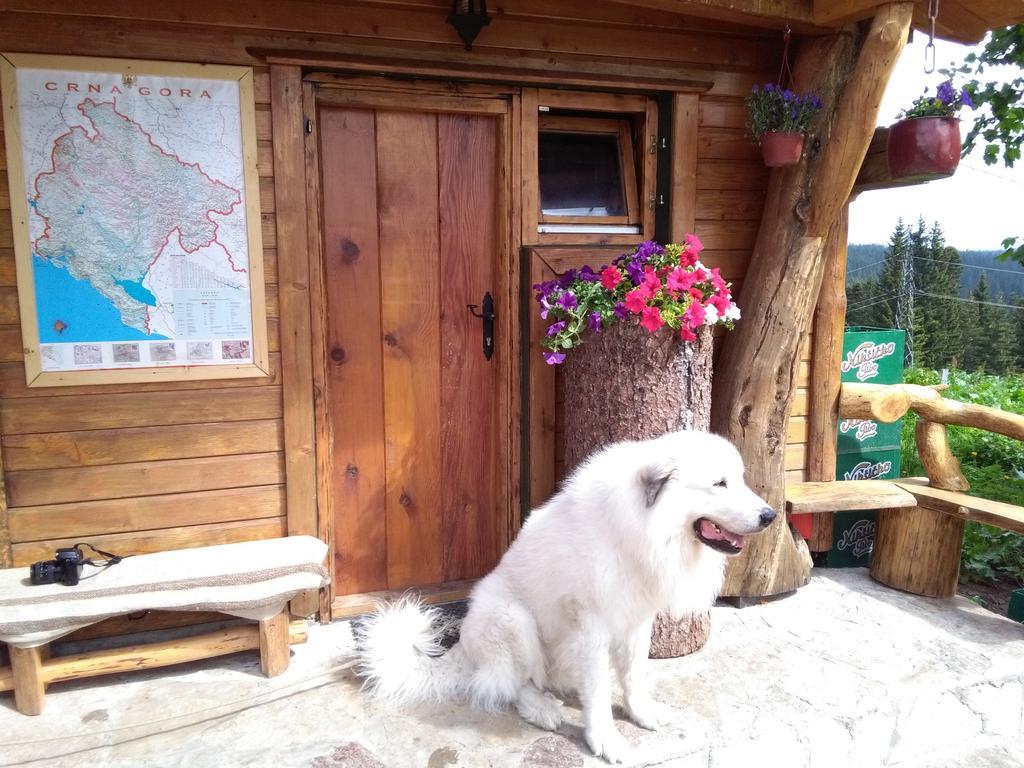 Guesthouse Planinarski Dom Neviden'O Zabljak  Exterior photo