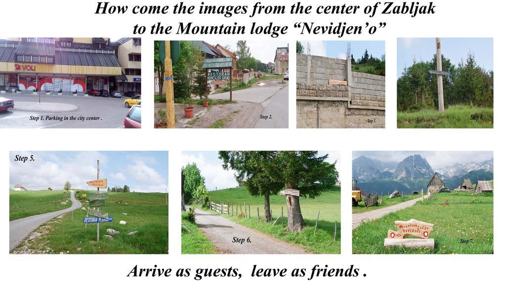 Guesthouse Planinarski Dom Neviden'O Zabljak  Exterior photo