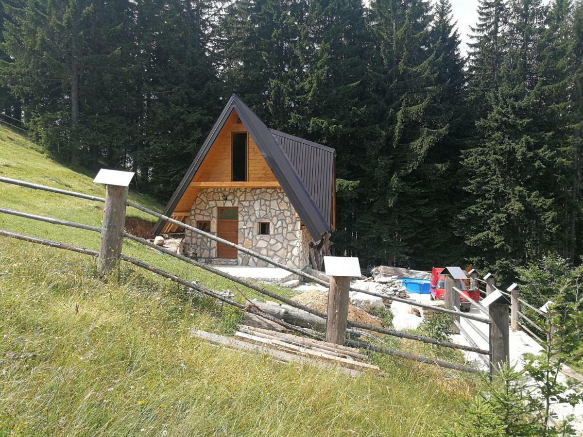 Guesthouse Planinarski Dom Neviden'O Zabljak  Exterior photo